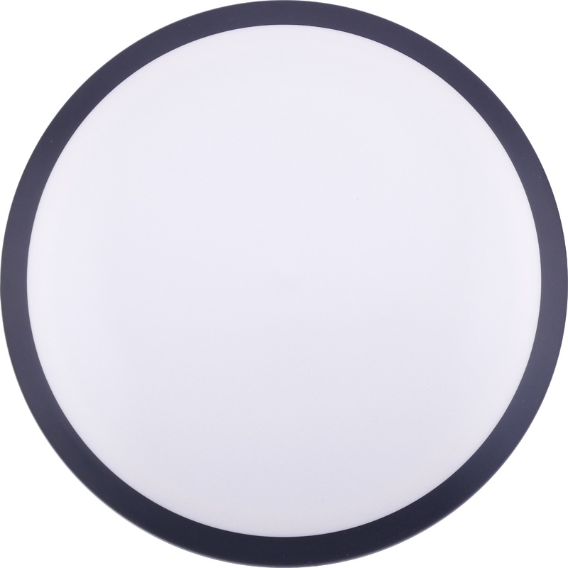 Neutron Tesla 170-175g (Blank)