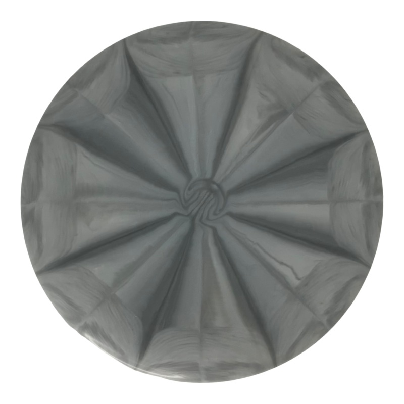 Dynamic Discs Classic Blend Burst Warden – Factory Blank