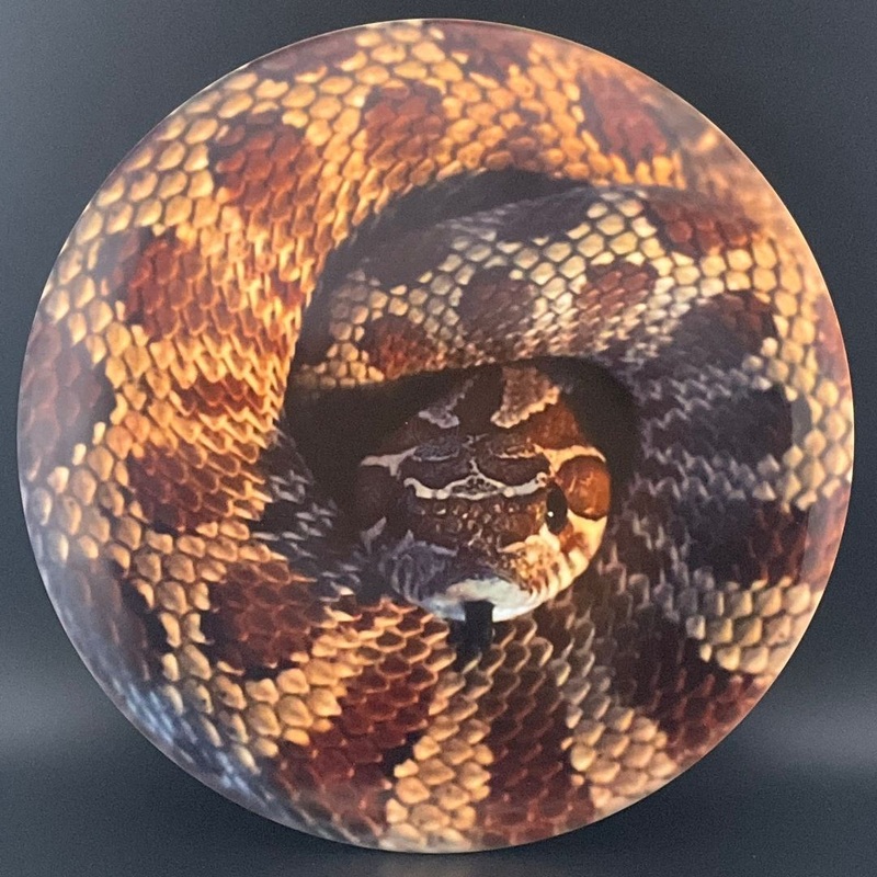 Fuzion Justice – “Rattlesnake” DyeMax