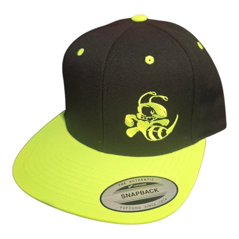 Discraft Buzzz Snapback Hat