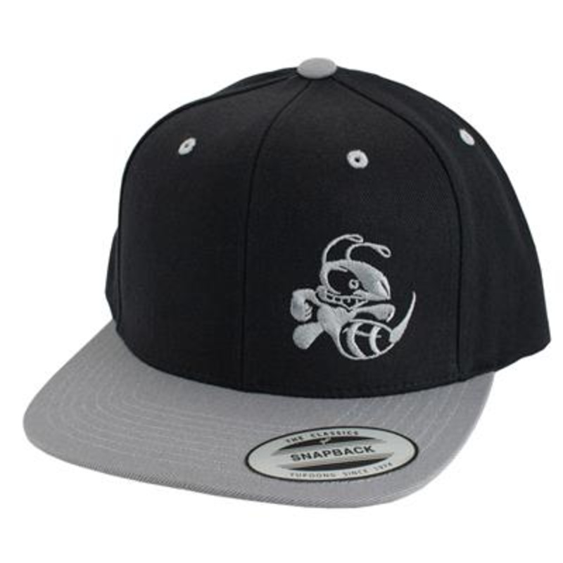 Discraft Two Tone Snapback Flatbill Hat – Buzzz Design