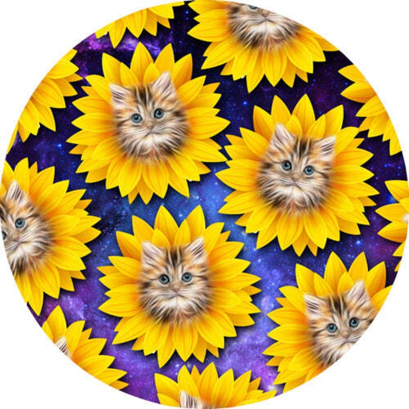Dynamic Discs Fuzion Escape – DyeMax Space Kitty Sunflowers