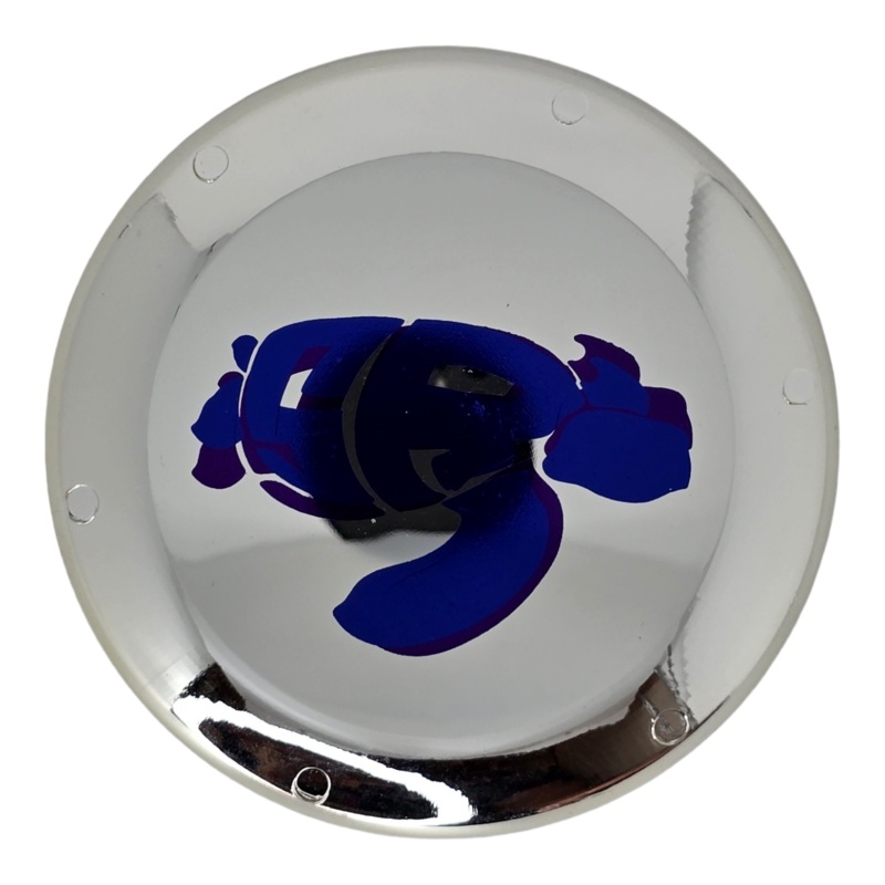 Zing Cozmo Mini Disc – Stacie Rawnsley Sea Turtle