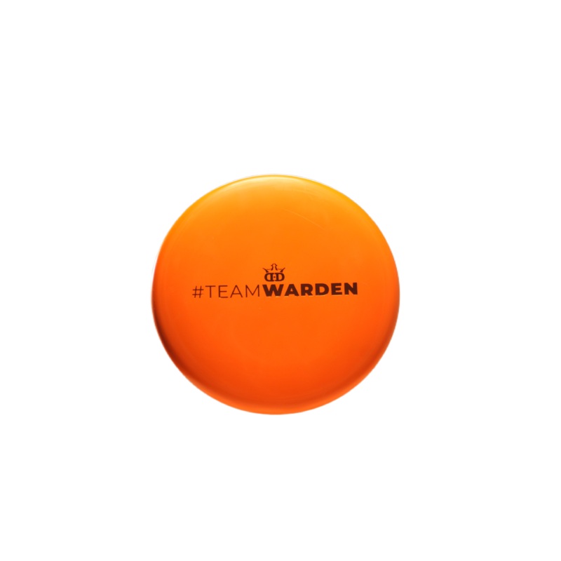 Dynamic Discs 2025 Team Warden Classic Warden Putter